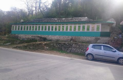 1Bigha Land For Sale In Theog