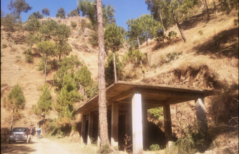 23Biswa Land For Sale IN Shoghi