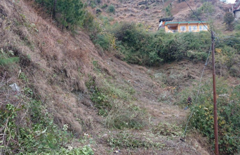 11 Biswa Land For Sale In Mehli